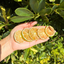 Tranches de citron vert déshydratées pour le bar et la décoration