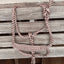 Halter LMB con Correa Desmontable