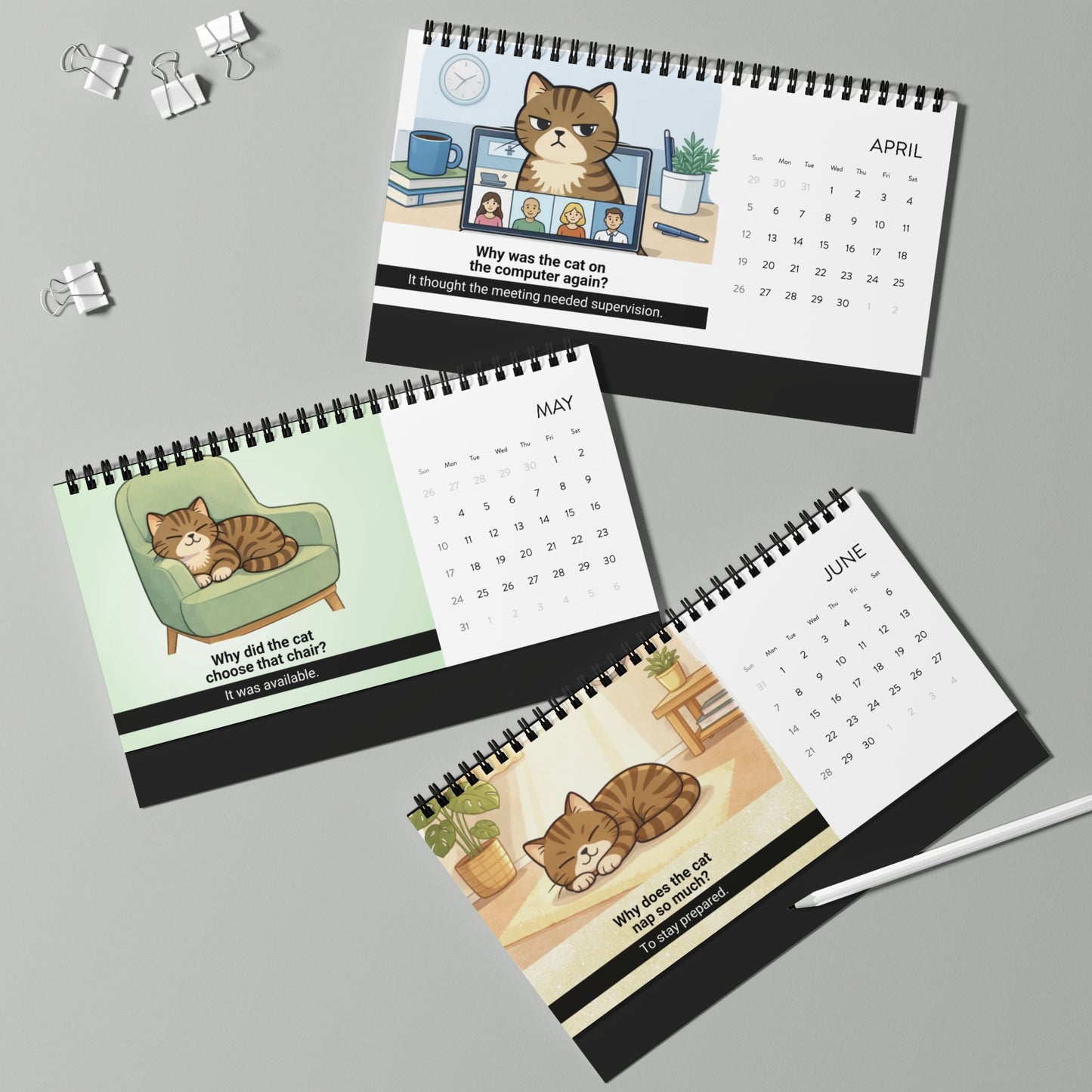 Cat Logic: Monthly Observations Desk Calendar – 2026