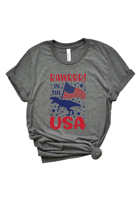 Rawr in the USA 1893 T-Shirt - Korvel