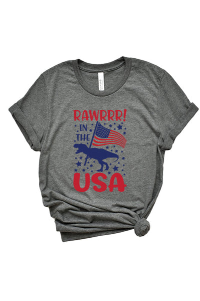 Rawr in the USA 1893 T-Shirt - Korvel