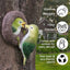 Xiuyan Bird Tree Cave Garden Resin Pendant - Korvel