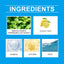 Denture Cleaner Spray, Denture Cleaner Cosmetic Teeth Denture Cleaner Spray Portable - Korvel