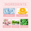 Rose Hydrating Essence for Nourished Skin