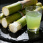 Graines de canne à sucre SweetHarvest pour le jardinage à domicile
