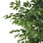 180CM ARTIFICIAL FICUS TREE - Korvel