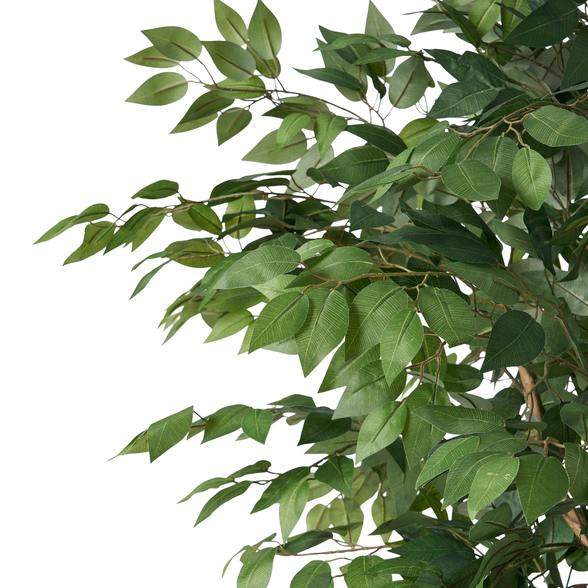 180CM ARTIFICIAL FICUS TREE - Korvel