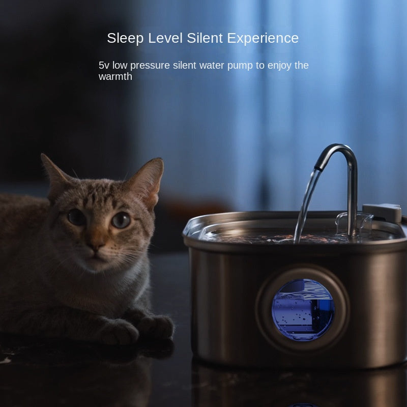 Distributeur d'eau intelligent en acier inoxydable premium pour animaux de compagnie