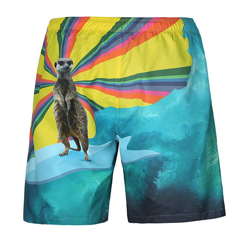 Premium Printed Mesh Jogger Shorts for Summer