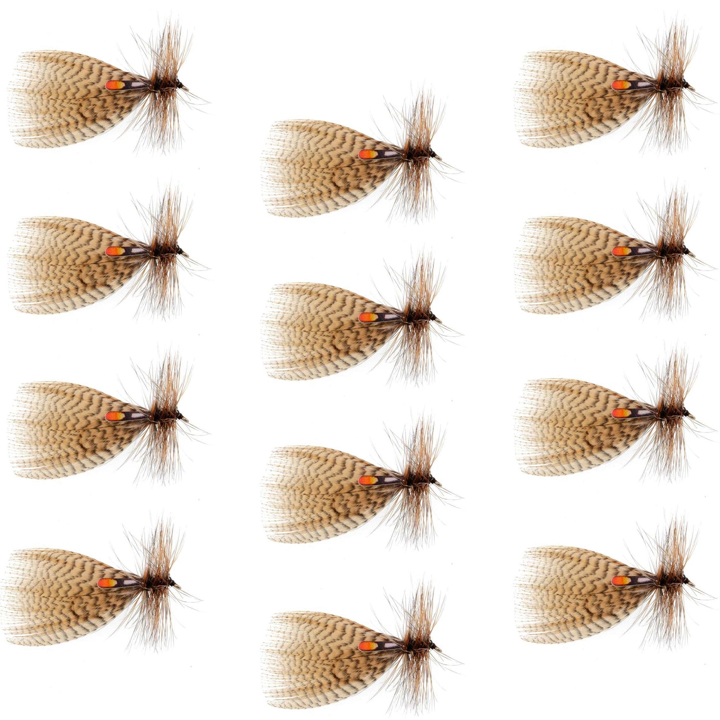 Hornberg Classic Trout & Bass Streamer Flies - 12 Pack, Size 12 - Korvel