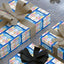 Little Boy Kitty Birthday Wrapping Paper Roll