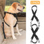 Ceinture de sécurité pour chien GBruno sans les mains - Pack de 2