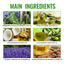 Premium Hair Root Spray for Nourished, Healthy Hair