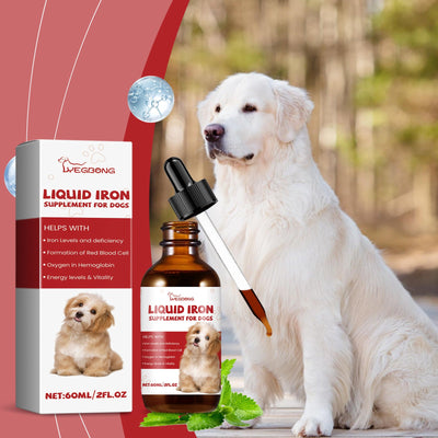 Pet Dog Syrup Pampers Pet Dogs With Gentle Ingredients To Help Absorb Care Supplements - Korvel