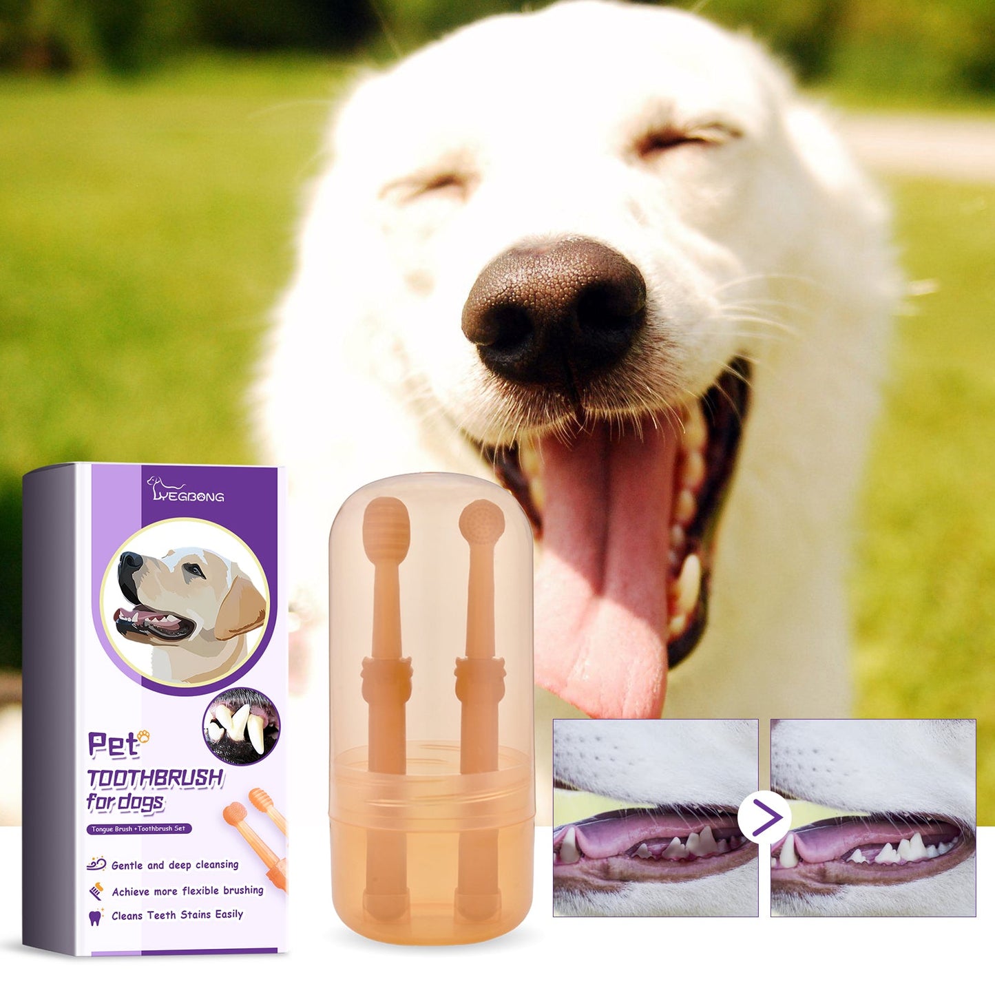 Pet Toothbrush For Dogs, Pet Oral Cleaning Dental Stains Dental Health Care - Korvel