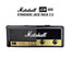 Llave de almacenamiento para altavoz de guitarra Marshall Fender