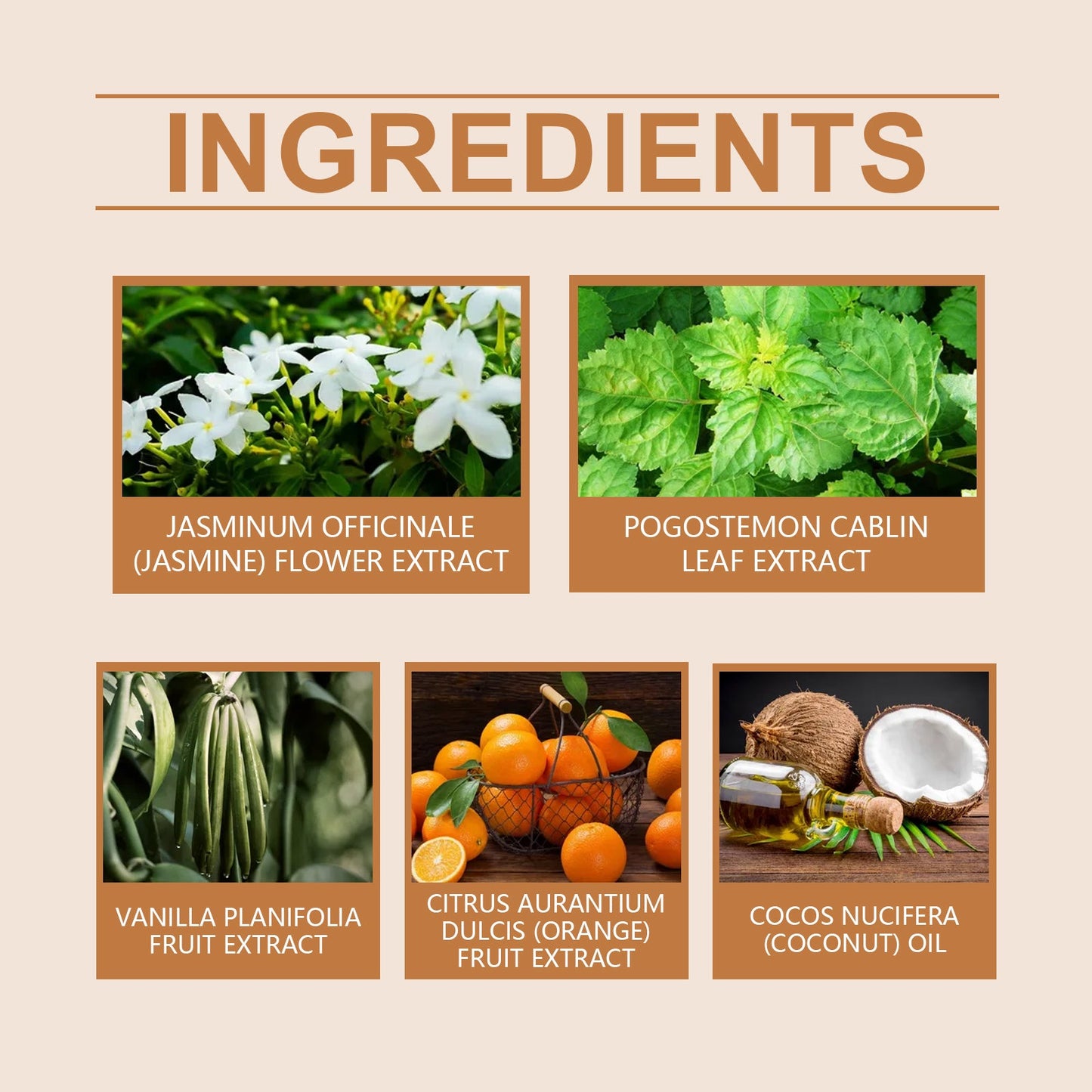 Perfume de Bola de Naranja y Vainilla - Fragancia Elegante y Portátil