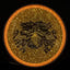 Particle Glow Proton Hex - Champions Cup 2025