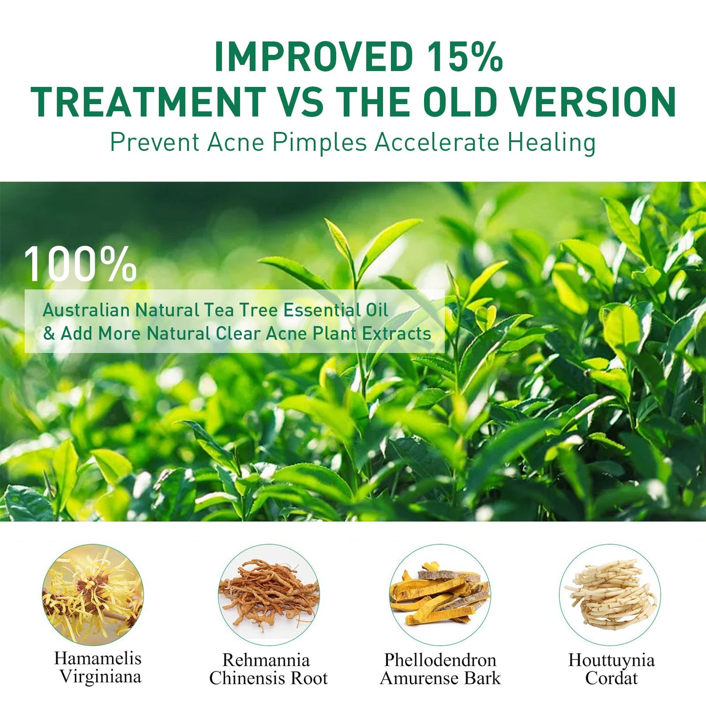 Tea Tree Oil Acne Serum, Remove Acne, Clear Acne, Repair Skin, Lighten Acne Printing Face Essence - Korvel