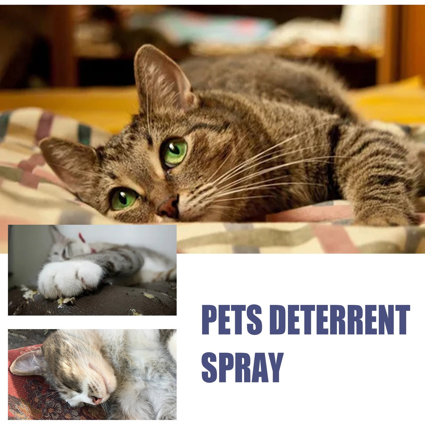 Pet Anti-Scratch Spray for Cats and Dogs
