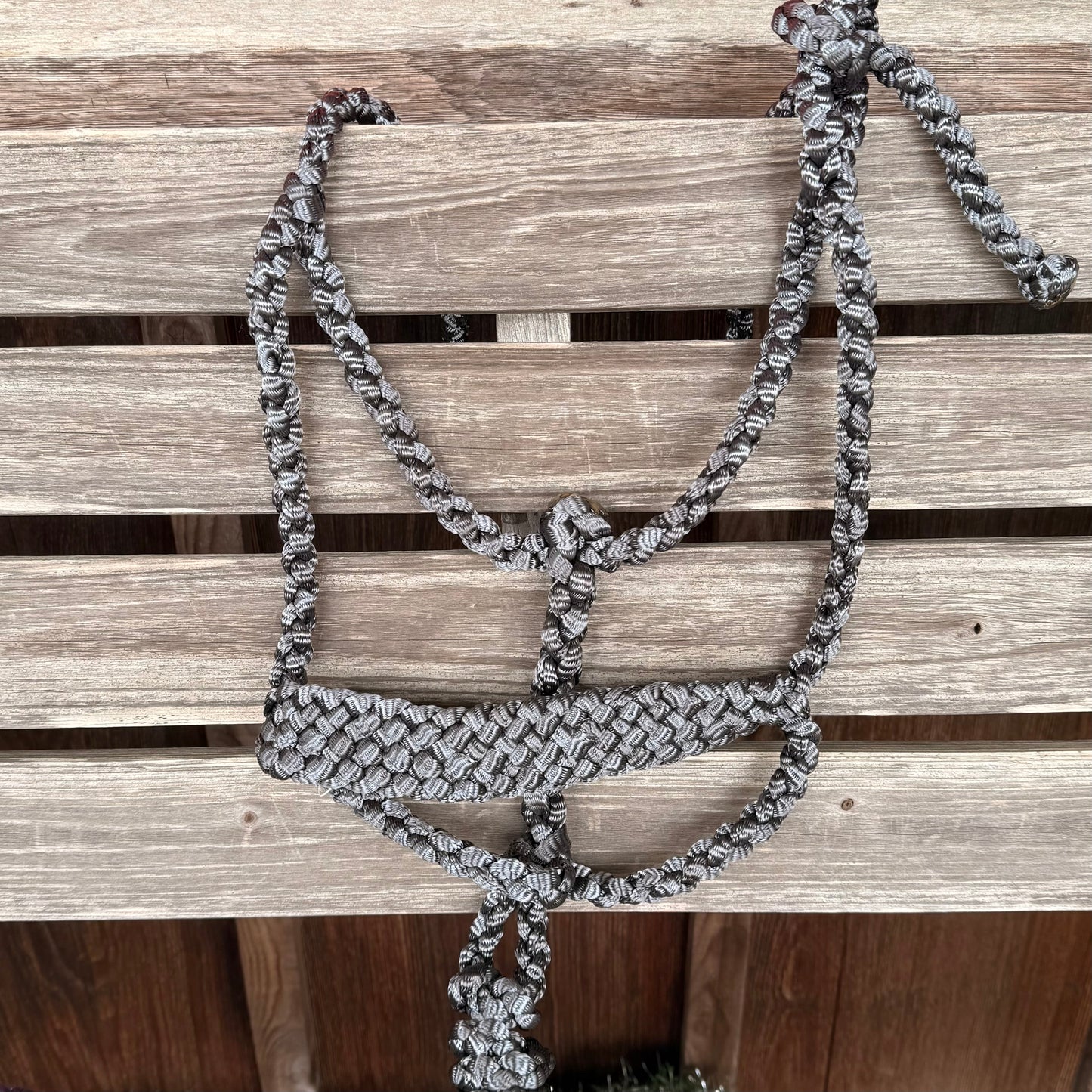 LMB Halter with Detachable Lead