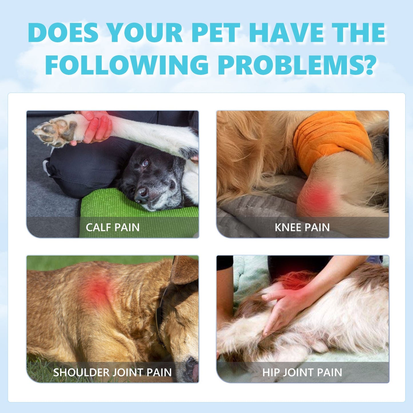 Pet Glucosamine Drops Relieve Pain Of Bones And Joints For Pets Body Care For Cats And Dogs - Korvel