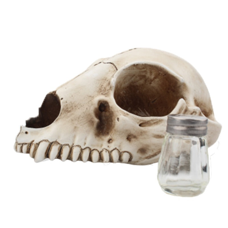 Cat Bone Base Seasoning Bottle Set Household Combination Glass Seasoning Jar Kitchen Storage Bottle - Korvel