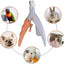Professional LED - lit pet nail clippers for cats and dogs. Toe - claw cutting tool, pet supplies. - Korvel