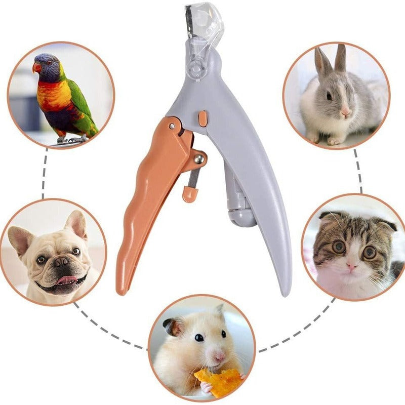 Professional LED - lit pet nail clippers for cats and dogs. Toe - claw cutting tool, pet supplies. - Korvel