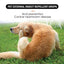 Premium Pet Insect Repellent Drops for Cats and Dogs