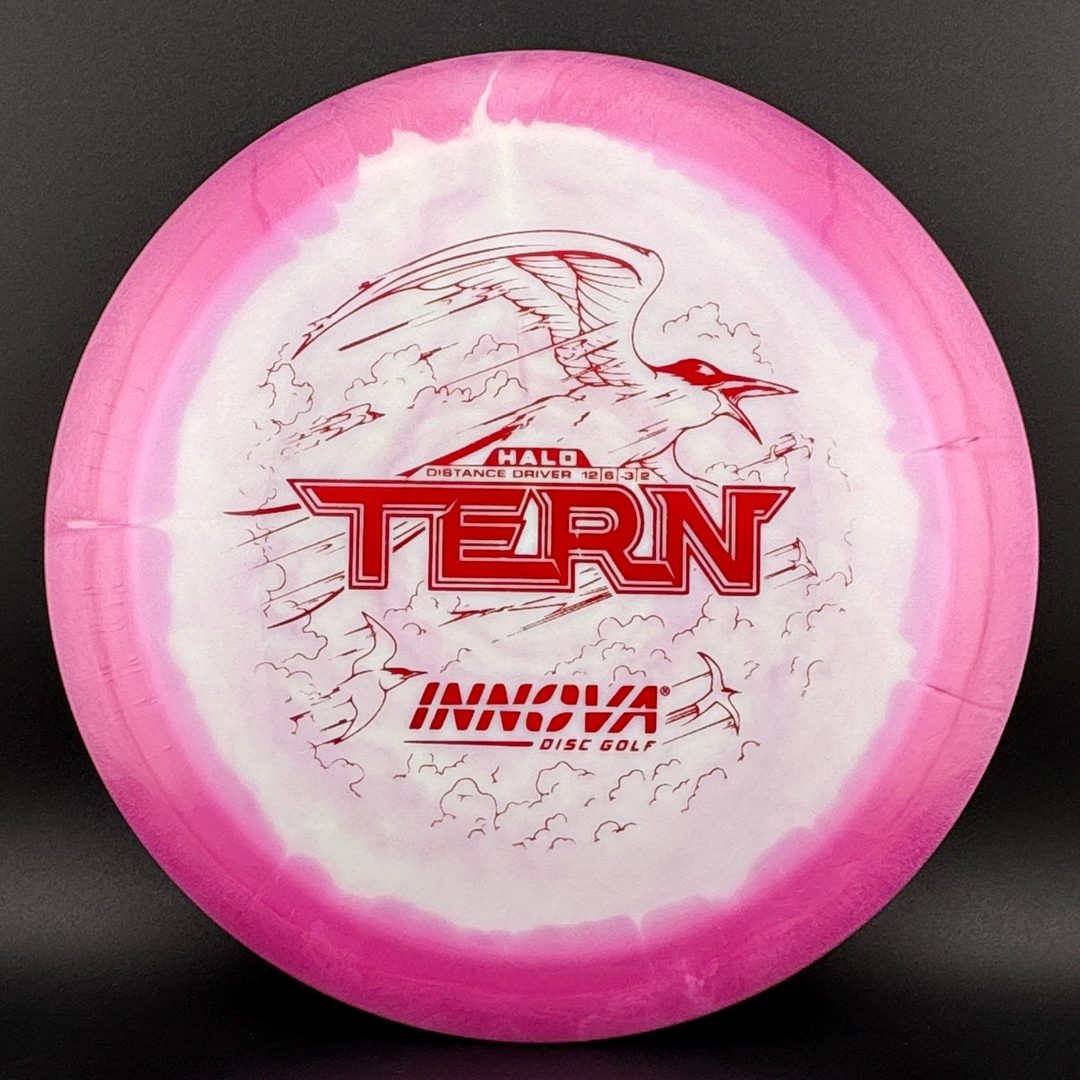 Innova Halo Star Tern Disc Golf Driver