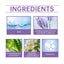 Lavender Body Perfume Spray, Lasting Fragrance Lavender Fragrance Refreshing Floral Perfume - Korvel