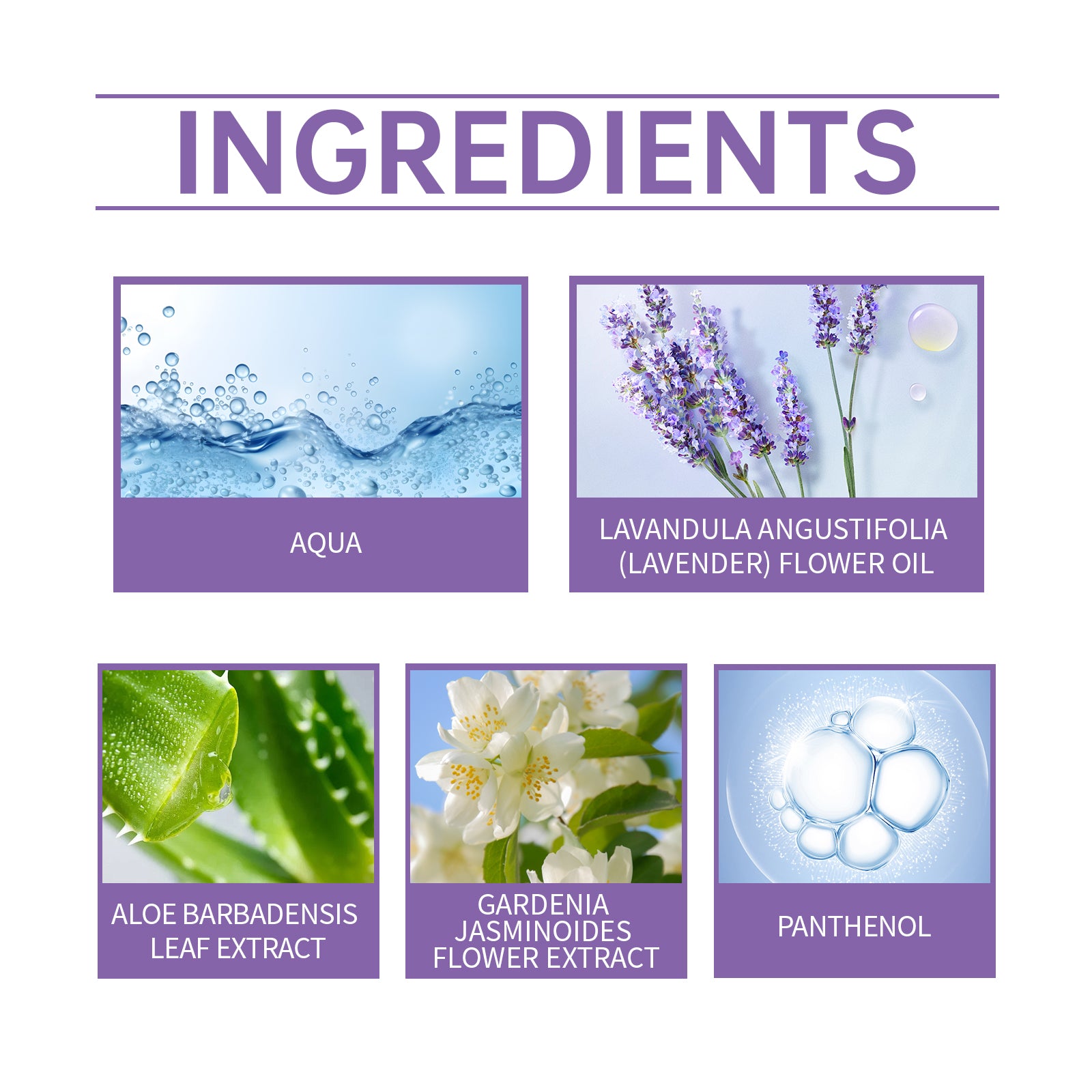 Lavender Body Perfume Spray, Lasting Fragrance Lavender Fragrance Refreshing Floral Perfume - Korvel