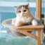 Solid Wood Cat Nest with Suction Cup Climbing Frame