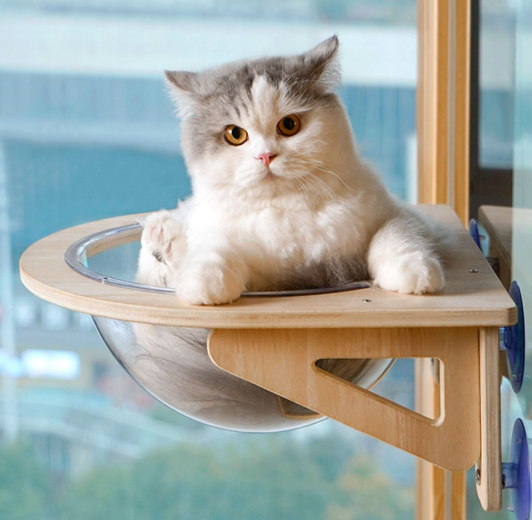 Solid Wood Cat Nest with Suction Cup Climbing Frame