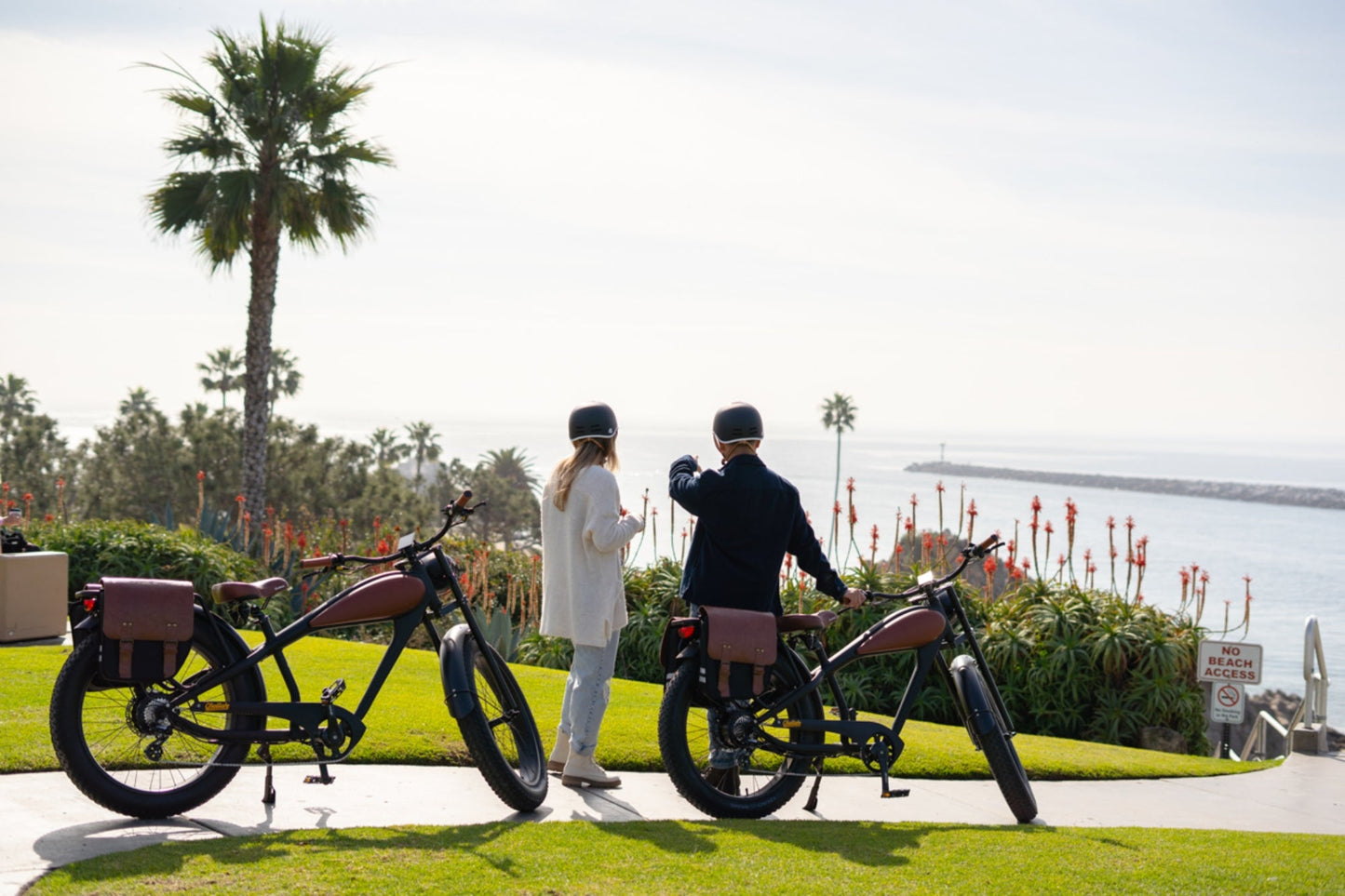 Cheetah Plus Cafe' Racer Ebike