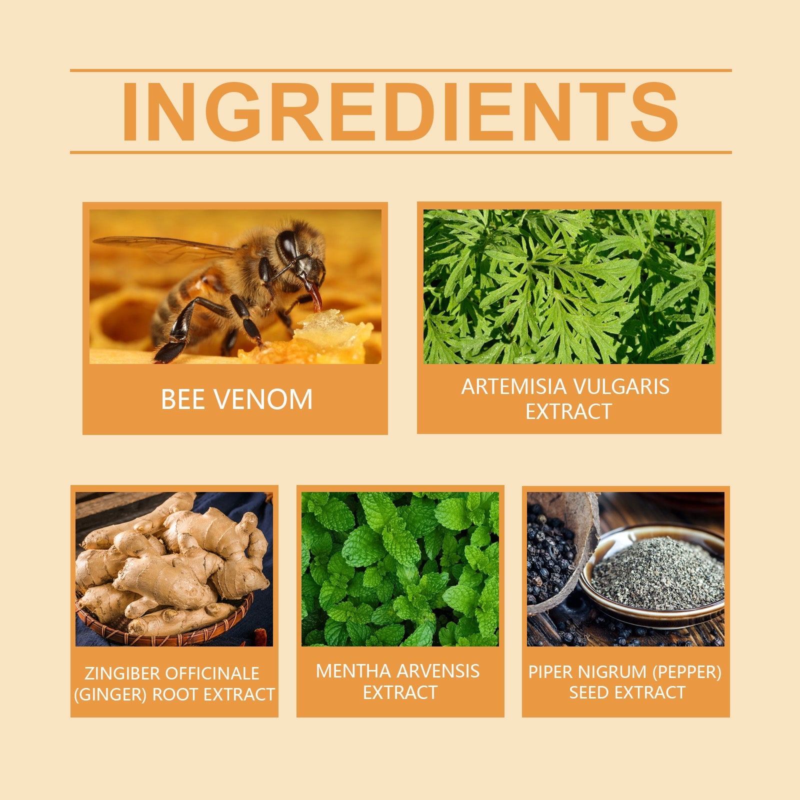 Bee Venom Beauty Considerate Body Shaping Body For Lazy Body Firming Body Skin Thighs Bye Meat - Korvel