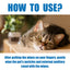 Premium Pet Ear Cleaning Finger Wipes