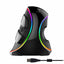 Delux M618 PLUS Ergonomics Vertical Gaming Mouse 6 Buttons 4000 DPI RGB Wired/Wireless Right Hand Mice For PC Laptop Computer - Korvel