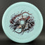 Color Glow Vessel - Turtle Navigator Disc