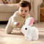 2025 Upgraded Interactive Bunny Toy. Hops, walks, talks, shakes ears. Plush Gift for Kids (Grey). - Korvel