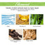 Ginger Care Shampoo Scalp Cleansing, Anti-Break Nourishing Root Strengthening Shampoo - Korvel