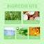 Underarm Treatment Spray, Lasting Fragrance Improve Body Odor Underarm Odor Clean And Moisturizing Body Care - Korvel