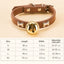 Claw Print Bone Alloy Bells for Pet Collars - Supplies for Dogs & Cats - Korvel