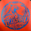 GStar Leopard Fairway Driver Disc