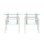 Set of 2 Modern Tempered Glass Coffee Tables