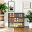 LED light shoe box three layers with glass doors - Korvel