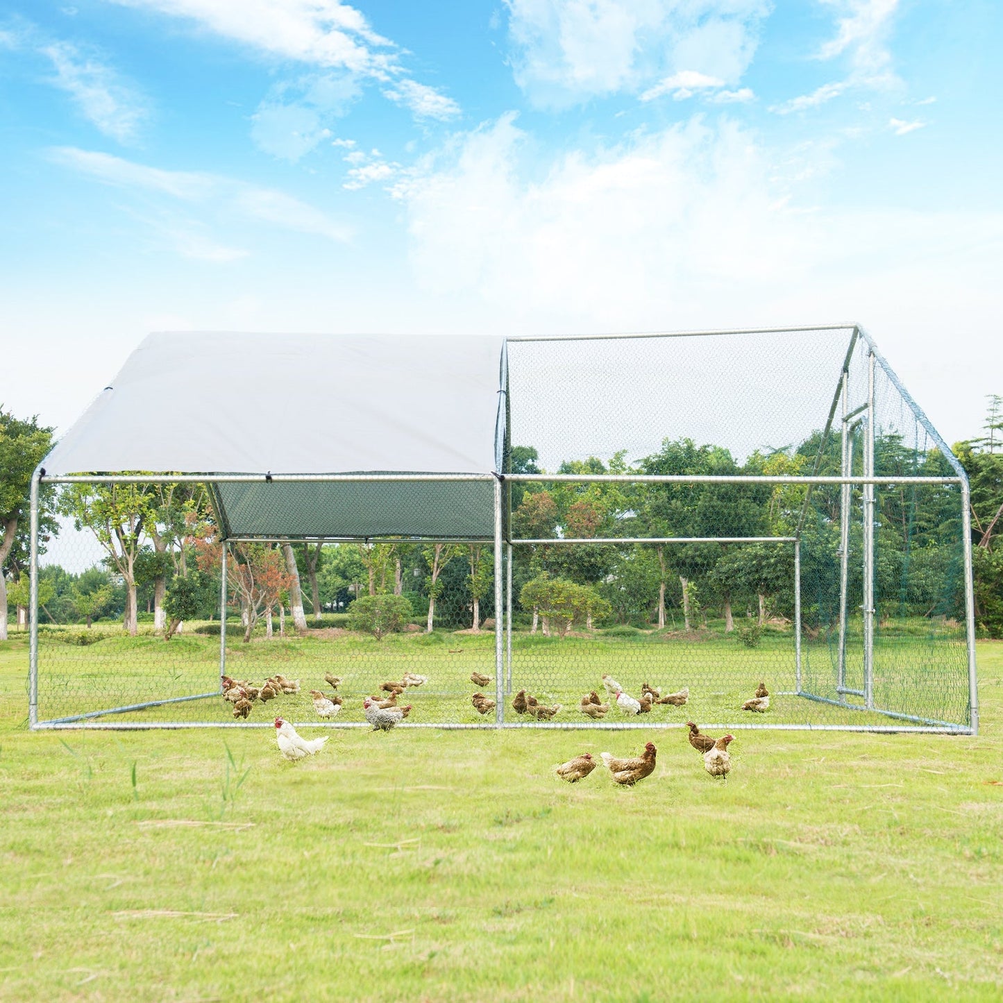 Premium 13 x 13 Feet Walk-in Chicken Coop with Waterproof Cover