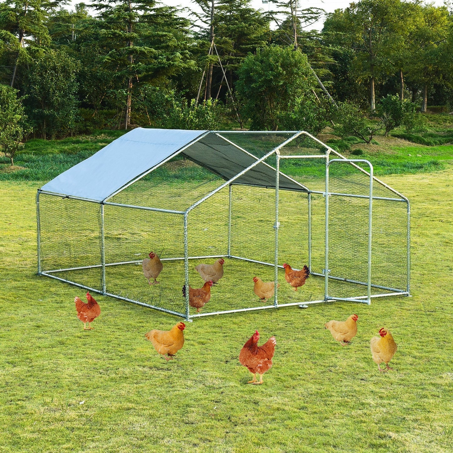 Large Walk-In Shade Cage Chicken Coop with Roof Cover - 13'