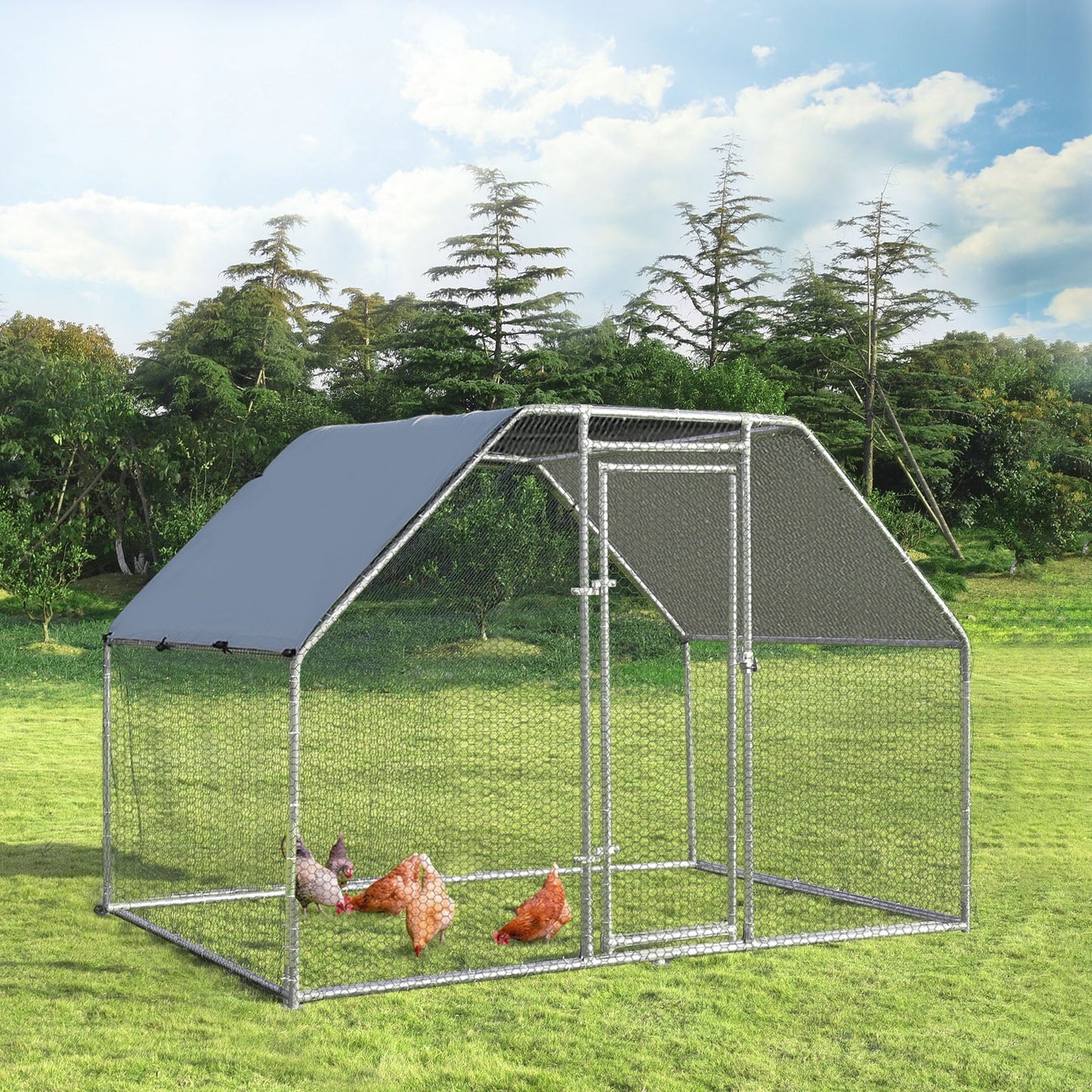 Large Walk In Chicken Run Cage - 9.5 x 6.5 Feet